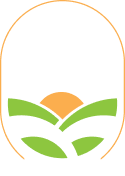 Sasa Bowls